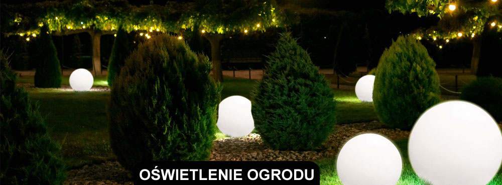 Ogród
